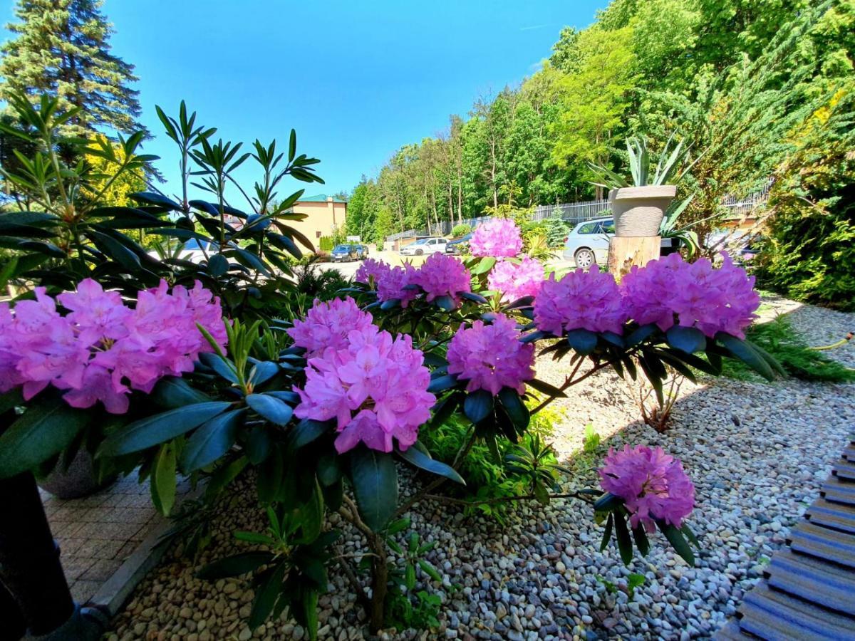 Hotel Mazuria Country & Spa Mragowo Exterior photo